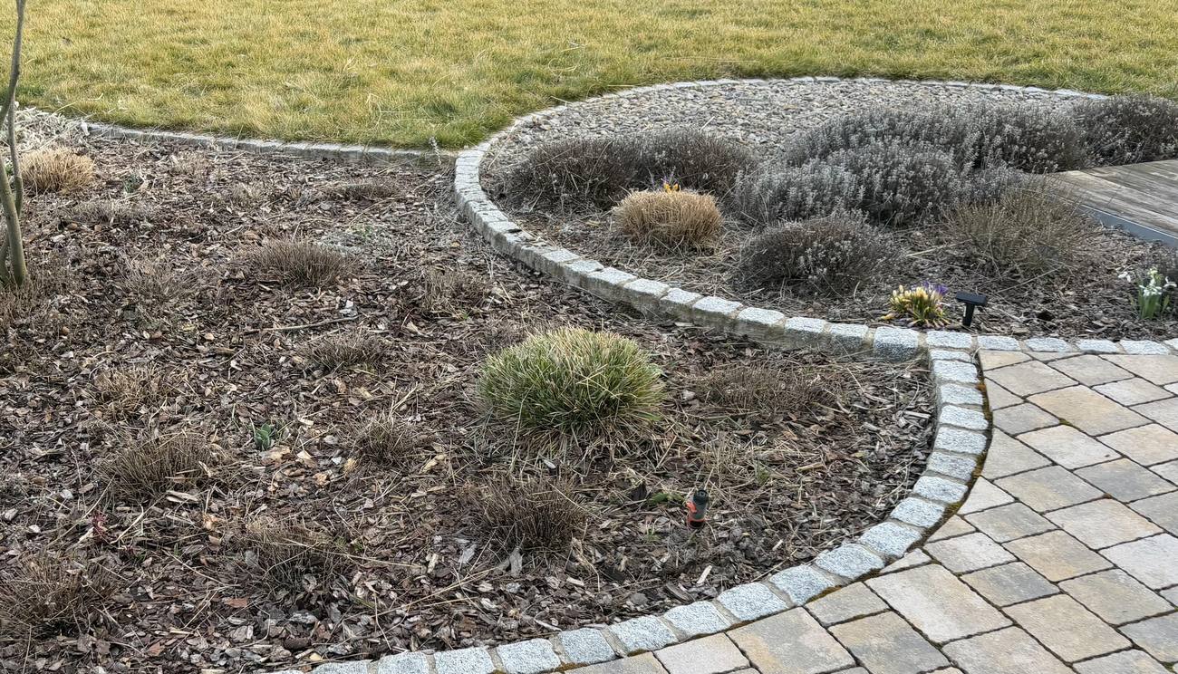 Neu angelegter, geschwungener Gartenweg mit Beeteinfassung