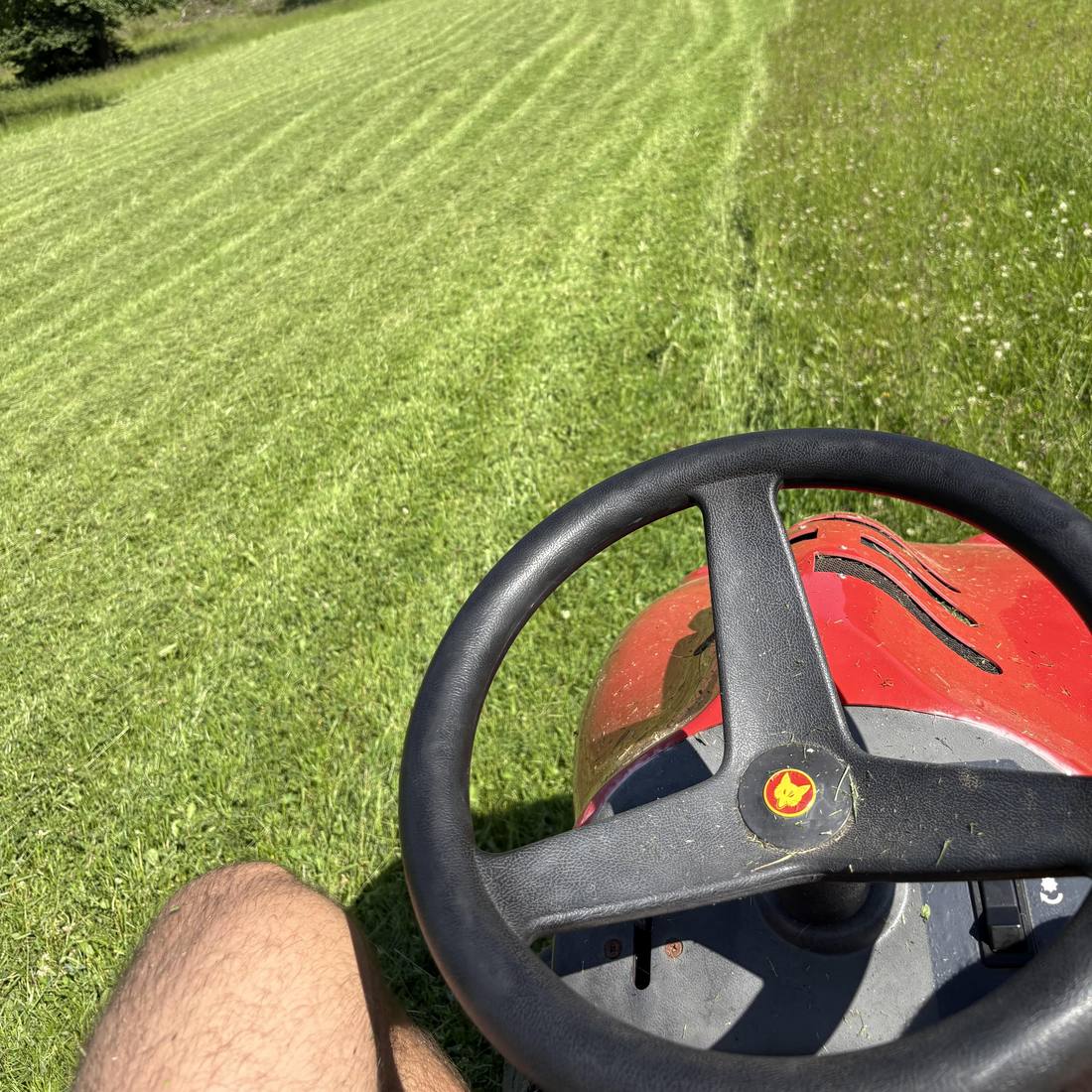Blick vom Aufsitzmäher auf eine frisch gemähte Rasenfläche